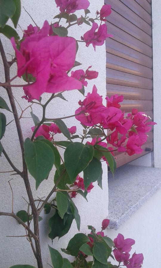Alma Bed & Breakfast Sennariolo ภายนอก รูปภาพ