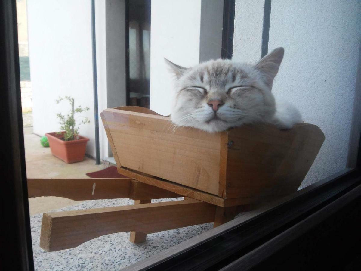 Alma Bed & Breakfast Sennariolo ภายนอก รูปภาพ